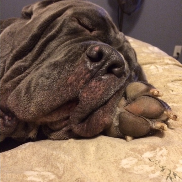 ๐พ๐พ๐พ๐พ๐พ๐พ๐พ๐พ๐พ๐พ๐พ๐พ - Picture 1 of 7